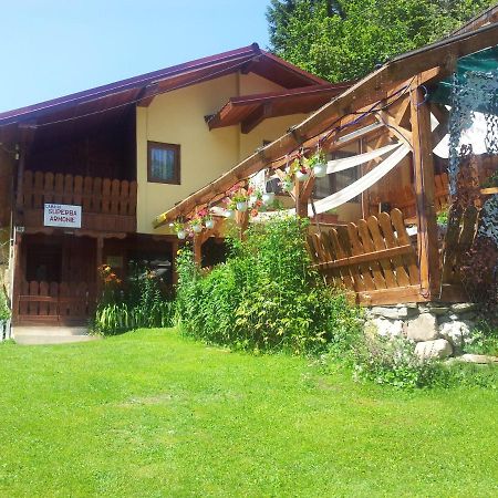 Cabana Suprema Armonie Dîmbovicioara Zewnętrze zdjęcie