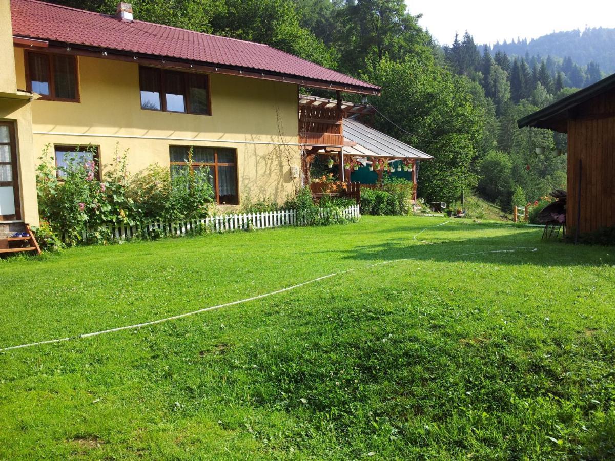 Cabana Suprema Armonie Dîmbovicioara Zewnętrze zdjęcie