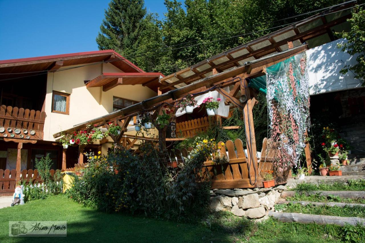 Cabana Suprema Armonie Dîmbovicioara Zewnętrze zdjęcie